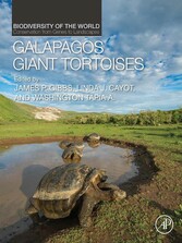 Galapagos Giant Tortoises