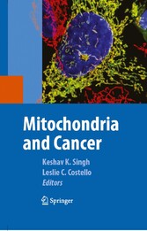 Mitochondria and Cancer