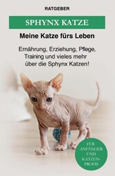 Sphynx Katze