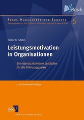 Leistungsmotivation in Organisationen