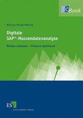 Digitale SAP®-Massendatenanalyse