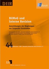 BilMoG und Interne Revision