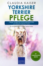 Yorkshire Terrier Pflege