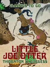 Little Joe Otter