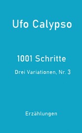 1001 Schritte - Drei Variationen, Nr. 3