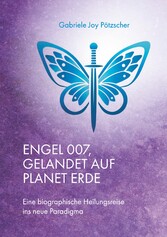 Engel 007, gelandet auf Planet Erde