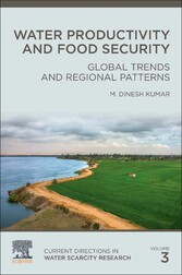 Water Productivity and Food Security