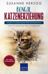 Bengal Katzenerziehung - Ratgeber zur Erziehung einer Katze der Bengal Rasse