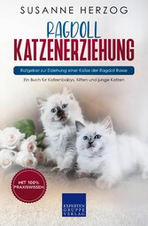 Ragdoll Katzenerziehung - Ratgeber zur Erziehung einer Katze der Ragdoll Rasse