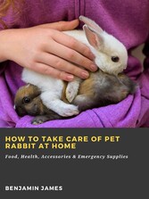 How to Take Care of Pet Rabbit at Home: Food, Health, Accessories & Emergency Supplies