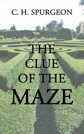 The Clue of the Maze