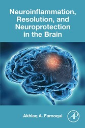 Neuroinflammation, Resolution, and Neuroprotection in the Brain