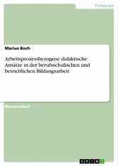 Arbeitsprozessbezogene didaktische Ansätze in der berufsschulischen und betrieblichen Bildungsarbeit