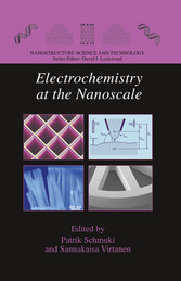 Electrochemistry at the Nanoscale