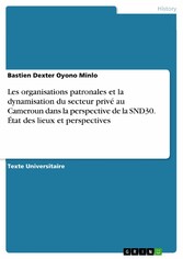 Les organisations patronales et la dynamisation du secteur privé au Cameroun dans la perspective de la SND30. État des lieux et perspectives