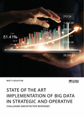 State of the Art Implementation of Big Data in Strategic and Operative Marketing. Challenges and Effective Responses