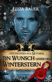 Ein Wunsch unter dem Winterstern