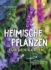 Heimische Pflanzen für den Garten