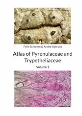 Atlas of Pyrenulaceae and Trypetheliaceae - Volume 1