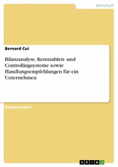 Bilanzanalyse, Kennzahlen- und Controllingsysteme sowie Handlungsempfehlungen für ein Unternehmen