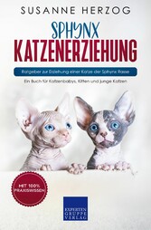 Sphynx Katzenerziehung - Ratgeber zur Erziehung einer Katze der Sphynx Rasse