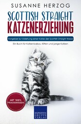 Scottish Straight Katzenerziehung - Ratgeber zur Erziehung einer Katze der Scottish Straight Rasse