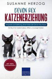 Devon Rex Katzenerziehung - Ratgeber zur Erziehung einer Katze der Devon Rex Rasse