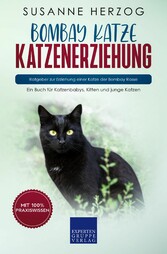 Bombay Katze Katzenerziehung - Ratgeber zur Erziehung einer Katze der Bombay Rasse