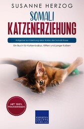 Somali Katzenerziehung - Ratgeber zur Erziehung einer Katze der Somali Rasse