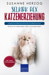 Selkirk Rex Katzenerziehung - Ratgeber zur Erziehung einer Katze der Selkirk Rex Rasse