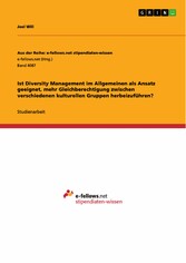 Ist Diversity Management im Allgemeinen als Ansatz geeignet, mehr Gleichberechtigung zwischen verschiedenen kulturellen Gruppen herbeizuführen?