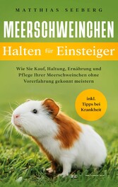 Meerschweinchen halten für Einsteiger