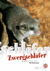 Zwergschläfer