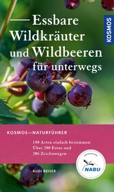 Essbare Wildkräuter und Wildbeeren für unterwegs