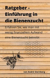 Budget-Ratgeber: Einführung in die Bienenzucht