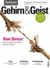 Gehirn&Geist 5/22 - Kein Stress!