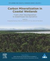 Carbon Mineralization in Coastal Wetlands