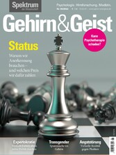 Gehirn&Geist 6/22 -Status