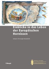 Einblicke in das Leben der Europäischen Hornisse