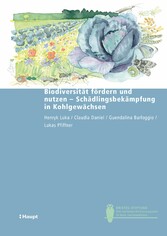 Biodiversität fördern und nutzen - Schädlingsbekämpfung in Kohlgewächsen