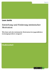 Entstehung und Förderung intrinsischer Motivation