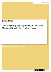 'Der Ursprung des Kapitalismus' von Ellen Meiksins Wood. Eine Buchrezesion