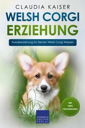 Welsh Corgi Erziehung