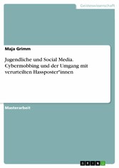 Jugendliche und Social Media. Cybermobbing und der Umgang mit verurteilten Hassposter*innen