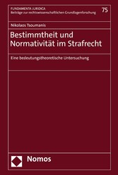 Bestimmtheit und Normativität im Strafrecht