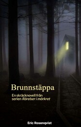 Brunnstäppa