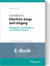 Handbuch Elterliche Sorge und Umgang (E-Book)