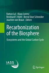 Recarbonization of the Biosphere