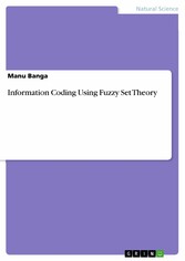 Information Coding Using Fuzzy Set Theory