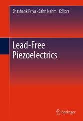 Lead-Free Piezoelectrics